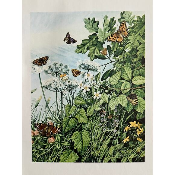 The Butterflies, William Scott Myles, Fantasy,  Art Print, ~ 250801-WH 595 G - Picture 2 of 2
